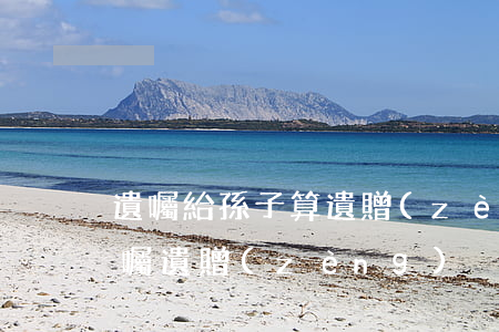 遺囑給孫子算遺贈(zèng)嗎(什么叫遺囑,遺贈(zèng)?)