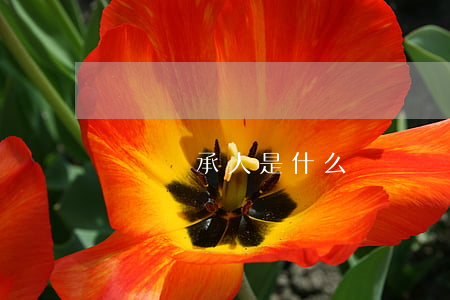 遺囑繼承人是什么(遺囑繼承人是什么意思)