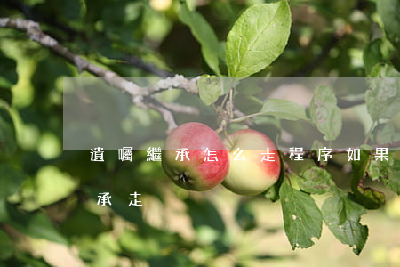 遺囑繼承怎么走程序(如果有遺囑卻按法定繼承走)