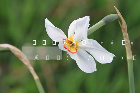 遺囑繼承房產(chǎn)起訴狀怎么寫(房屋遺產(chǎn)繼承起訴書怎么寫)