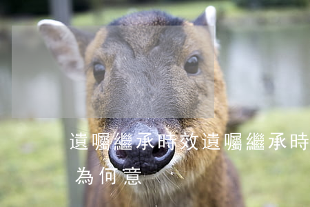 遺囑繼承時效(遺囑繼承時效的二年和二十年為何意)