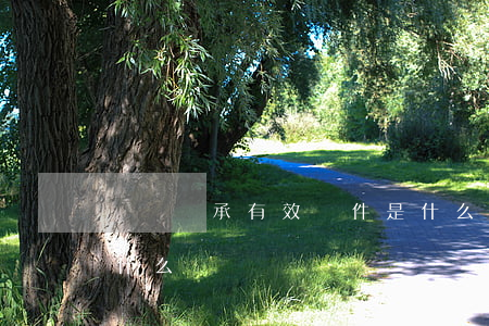遺囑繼承有效條件是什么(遺囑繼承的程序是什么)