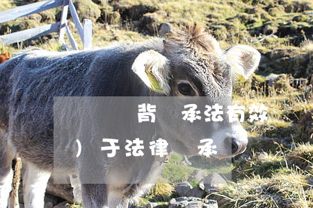 遺囑違背繼承法有效嗎(遺囑繼承優(yōu)于法律繼承)