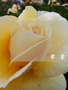 遺囑需要公證嗎(老人立遺囑需要公證嗎)