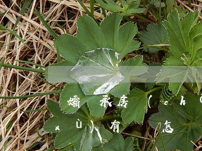 遺孀繼承房產(chǎn)需要什么手續(xù)(有遺囑怎樣辦理房產(chǎn)繼承)
