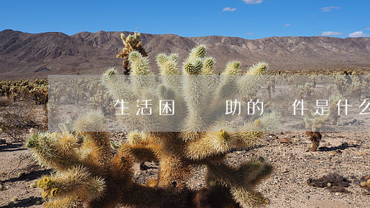 遺屬生活困難補助的條件是什么（補償項目）