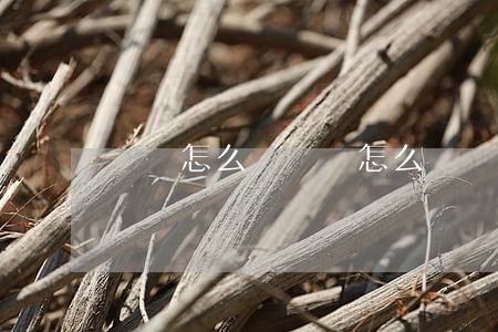 遺書怎么寫(遺書怎么寫)