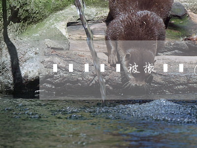 遺棄嬰兒會被撤銷監(jiān)護人資格