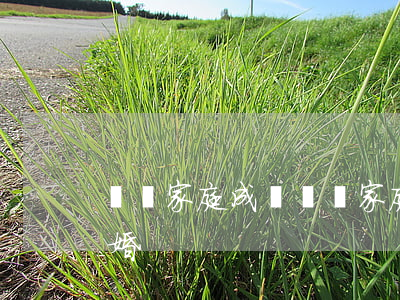 遺棄家庭成員(遺棄家庭成員多久可以起訴離婚)