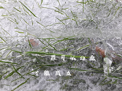 遺棄罪可以公益訴訟嗎(可以告遺棄罪嗎怎么才能成立)