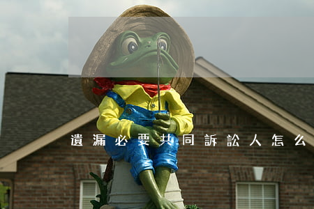 遺漏必要共同訴訟人怎么辦