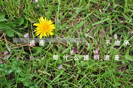 遺產(chǎn)不繼承的話需要開(kāi)局什么證明(遺產(chǎn)繼承從什么時(shí)候開(kāi)始有效)