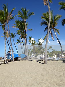 遺產(chǎn)公證繼承人到不了(遺產(chǎn)繼承怎么辦理公證)