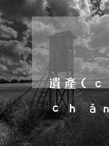 遺產(chǎn)分割律師怎么收費(遺產(chǎn)分割律師收費標(biāo)準(zhǔn))