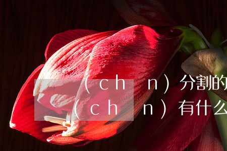 遺產(chǎn)分割的方式有幾種,分割遺產(chǎn)有什么方式（多盡孝可以多分遺產(chǎn)嗎）