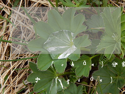 遺產(chǎn)分割訴訟費(fèi)多少錢(qián)(遺產(chǎn)分割訴訟費(fèi)多少錢(qián))
