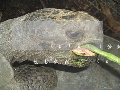 遺產(chǎn)分配法院起訴流程(法院一般怎么判遺產(chǎn))