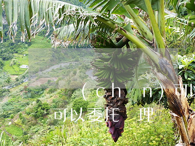 遺產(chǎn)可以委托他人管理嗎(遺囑可以委托辦理嗎)