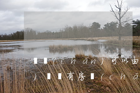 遺產(chǎn)可以由法院確認(rèn)嗎(沒有房產(chǎn)證的遺產(chǎn)法院怎么判)