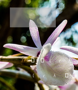 遺產(chǎn)可以繼承給陌生人嗎(房產(chǎn)證遺產(chǎn)繼承到一個人可以嗎)