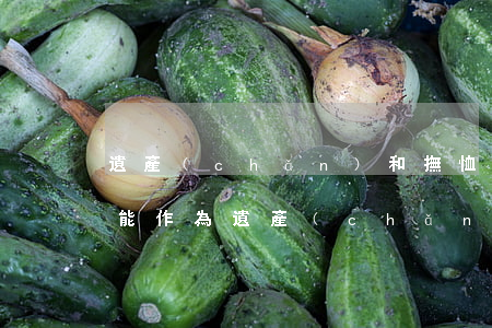 遺產(chǎn)和撫恤金怎么繼承(撫恤金能作為遺產(chǎn)進(jìn)行處分嗎)