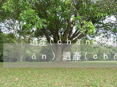 遺產(chǎn)如何界定婚前財產(chǎn)(遺產(chǎn)婚前婚后財產(chǎn)怎么分配)