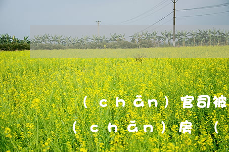 遺產(chǎn)官司被告需要請律師嗎(遺產(chǎn)房產(chǎn)官司律師收費)