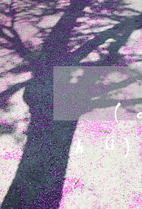 遺產(chǎn)應(yīng)訴書(shū)怎么寫(xiě)(遺產(chǎn)協(xié)議書(shū)怎么寫(xiě)才有效)