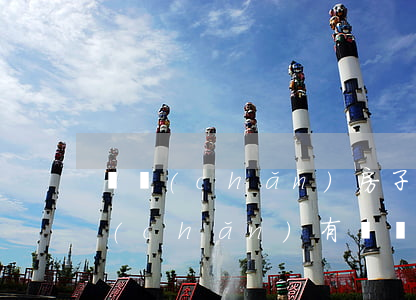 遺產(chǎn)房子法院可以拍賣嗎(房產(chǎn)有糾紛法院能拍賣嗎)