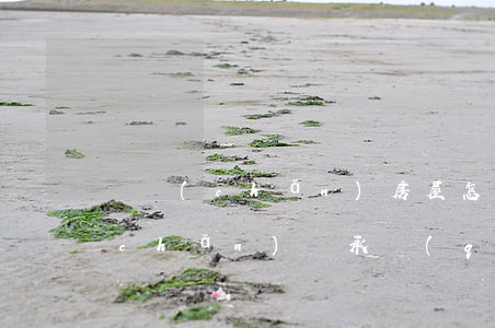 遺產(chǎn)房屋怎么繼承(房屋遺產(chǎn)繼承權(quán))