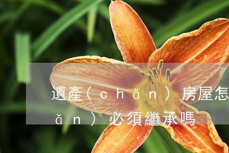 遺產(chǎn)房屋怎么繼承(遺產(chǎn)必須繼承嗎)