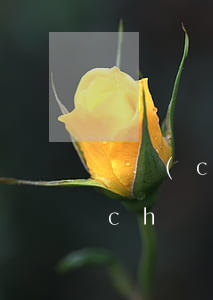遺產(chǎn)房屋繼承要交稅嗎(遺產(chǎn)繼承要交遺產(chǎn)稅嗎)