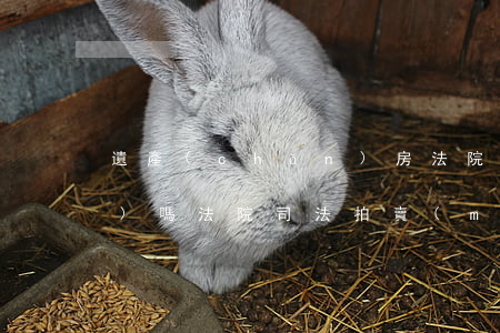 遺產(chǎn)房法院可以拍賣(mài)嗎(法院司法拍賣(mài)房產(chǎn))