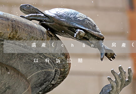 遺產(chǎn)房產(chǎn)幾年可以有訴訟期