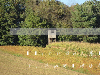 遺產(chǎn)房繼承怎么辦理執(zhí)行(如何辦理房屋遺產(chǎn)繼承)
