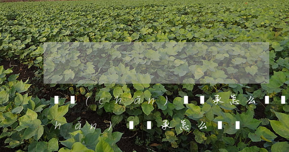 遺產(chǎn)沒繼承怎么還債(遺產(chǎn)沒繼承怎么還債)