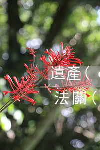 遺產(chǎn)法定繼承人怎么繼承(繼承法關(guān)于遺產(chǎn)繼承是如何規(guī)定的)