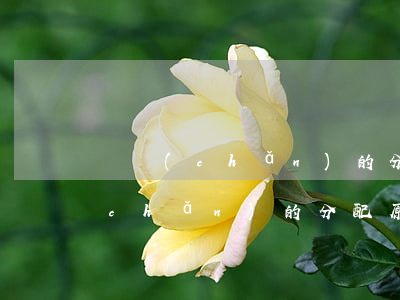 遺產(chǎn)的分配原則和比例(遺產(chǎn)的分配原則和比例)