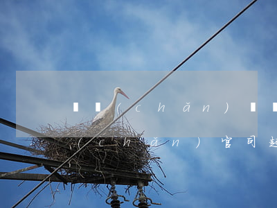 遺產(chǎn)糾紛可以不請律師嗎(遺產(chǎn)官司起訴要什么條件)