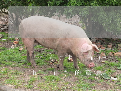 遺產(chǎn)糾紛是什么意思(遺產(chǎn)的意思)