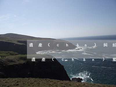 遺產(chǎn)糾紛請律師需要花多少錢(遺產(chǎn)繼承糾紛律師費用怎么收)