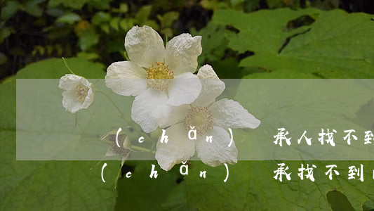 遺產(chǎn)繼承人找不到怎么公正(遺產(chǎn)繼承找不到的親屬)