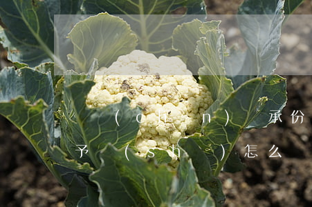 遺產(chǎn)繼承份額贈(zèng)予書(shū)怎么寫(遺產(chǎn)繼承份額可以贈(zèng)送嗎)