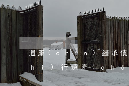遺產(chǎn)繼承債務糾紛怎么執(zhí)行(遺產(chǎn)繼承債務糾紛怎么執(zhí)行昆明)