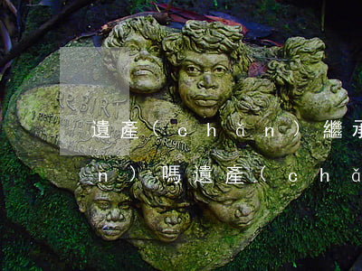 遺產(chǎn)繼承公證交遺產(chǎn)嗎(遺產(chǎn)繼承必須辦公證嗎)