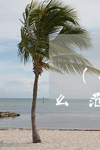 遺產(chǎn)繼承協(xié)議書怎么寫范文(遺產(chǎn)繼承協(xié)議書怎么寫有效)