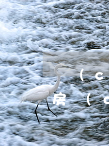遺產(chǎn)繼承可以委托他人辦理嗎(房產(chǎn)繼承可以委托人辦理嗎)
