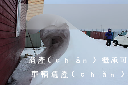 遺產(chǎn)繼承可以委托律師辦理嗎車輛(遺產(chǎn)繼承可以委托律師辦理嗎車輛)