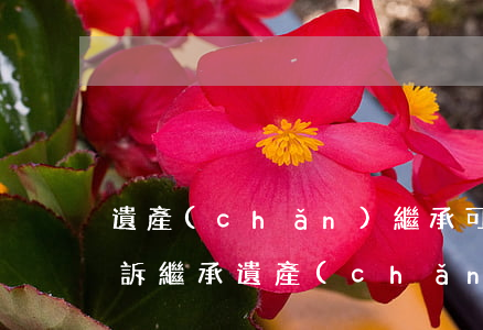 遺產(chǎn)繼承可以減免訴訟費嗎(起訴繼承遺產(chǎn)收費標(biāo)準(zhǔn))