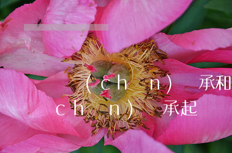 遺產(chǎn)繼承和財(cái)產(chǎn)繼承起訴狀怎么寫(xiě)(遺產(chǎn)繼承和財(cái)產(chǎn)繼承起訴狀怎么寫(xiě))